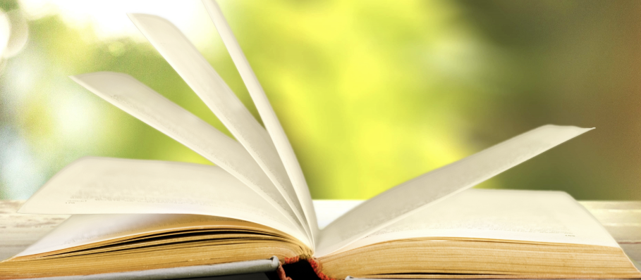 Aufgeschlagenes Buch im warmen Licht vor grünem Hintergrund